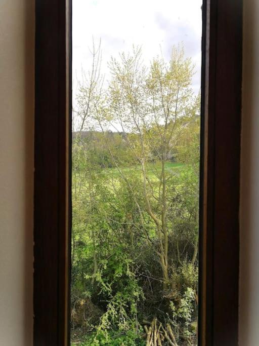 La Sittelle Des Aguesses Apartment Andenne Exterior photo